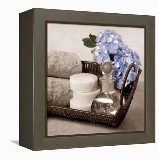 Hydrangea and Wicker-Julie Greenwood-Framed Stretched Canvas