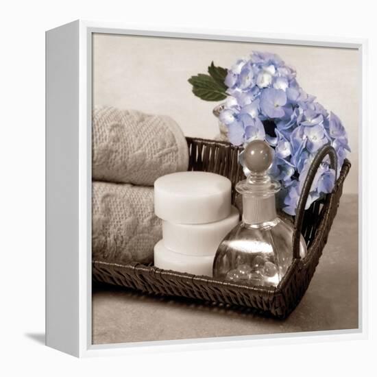 Hydrangea and Wicker-Julie Greenwood-Framed Stretched Canvas