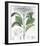 Hydrangea Belizonii-The Vintage Collection-Framed Premium Giclee Print