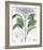 Hydrangea Belizonii-The Vintage Collection-Framed Premium Giclee Print