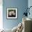 Hydrangea Bloom-Pete Kelly-Framed Giclee Print displayed on a wall