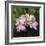 Hydrangea Bloom-Pete Kelly-Framed Giclee Print