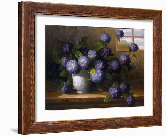 Hydrangea Blossoms II-Welby-Framed Art Print