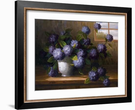 Hydrangea Blossoms II-Welby-Framed Art Print