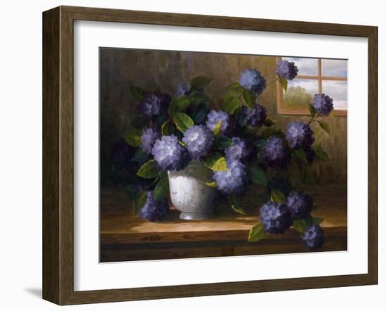 Hydrangea Blossoms II-Welby-Framed Art Print