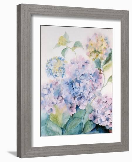 Hydrangea, Blue Wave I-Karen Armitage-Framed Giclee Print