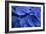 Hydrangea Blues I-Rita Crane-Framed Photographic Print