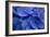 Hydrangea Blues I-Rita Crane-Framed Photographic Print