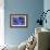 Hydrangea Blues III-Rita Crane-Framed Photographic Print displayed on a wall