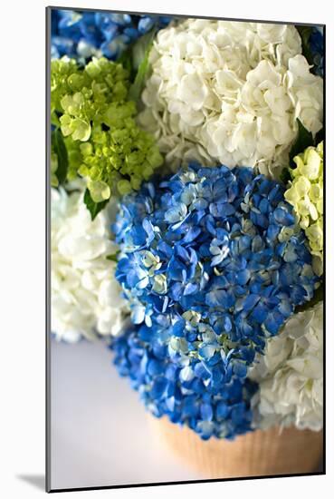 Hydrangea Bouquet-Karyn Millet-Mounted Photo