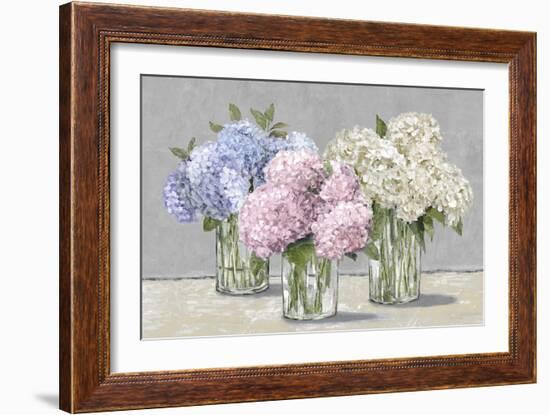 Hydrangea Collection-Tania Bello-Framed Giclee Print