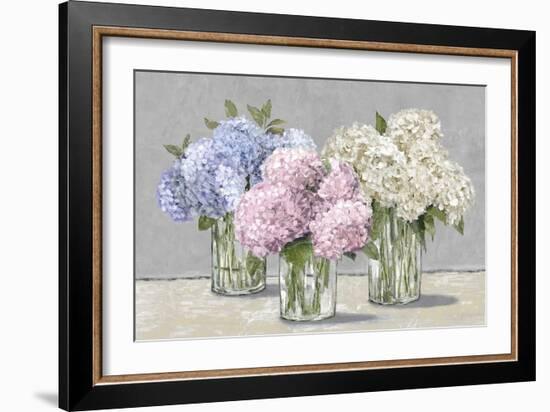 Hydrangea Collection-Tania Bello-Framed Giclee Print