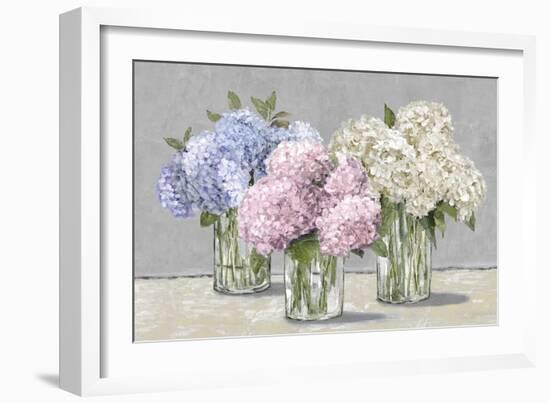 Hydrangea Collection-Tania Bello-Framed Giclee Print