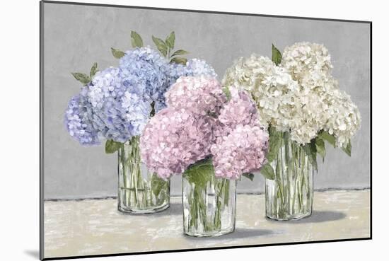 Hydrangea Collection-Tania Bello-Mounted Giclee Print