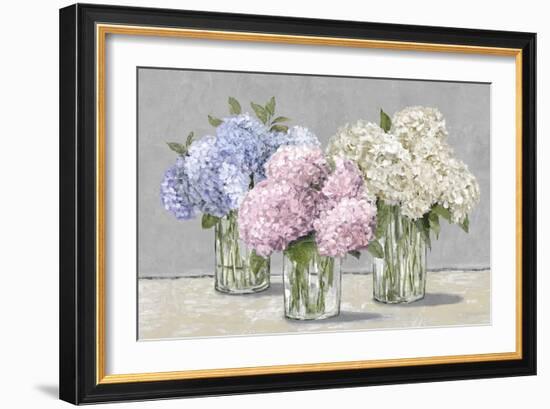 Hydrangea Collection-Tania Bello-Framed Giclee Print