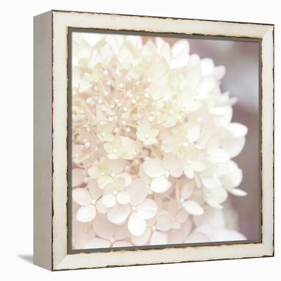 Hydrangea Dream I-Laura Marshall-Framed Stretched Canvas