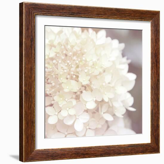 Hydrangea Dream I-Laura Marshall-Framed Art Print