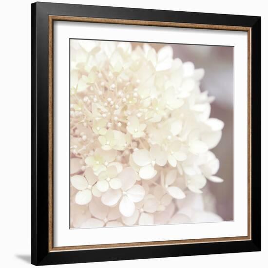 Hydrangea Dream I-Laura Marshall-Framed Art Print