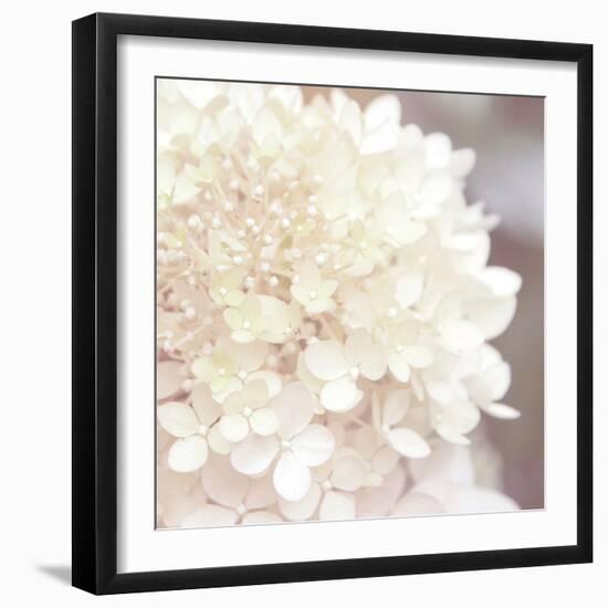 Hydrangea Dream I-Laura Marshall-Framed Art Print