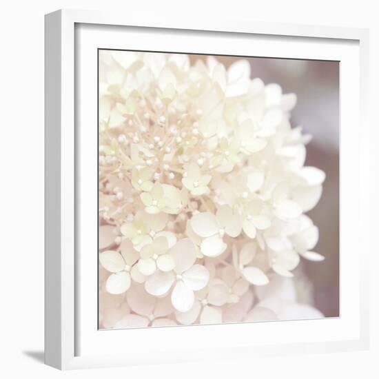 Hydrangea Dream I-Laura Marshall-Framed Art Print