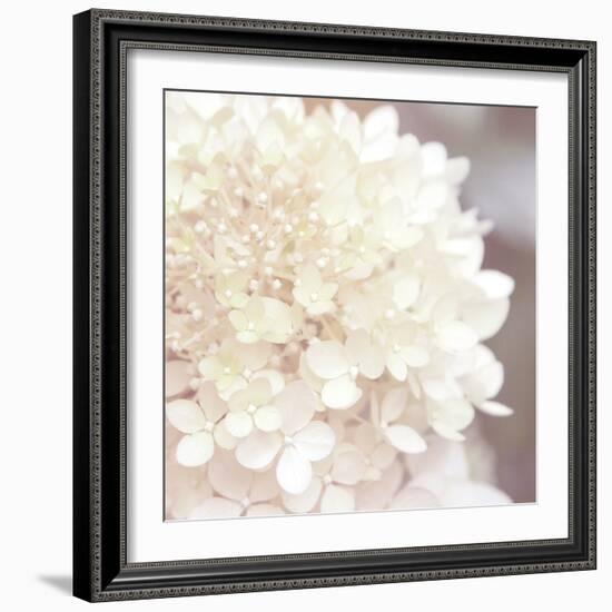 Hydrangea Dream I-Laura Marshall-Framed Art Print