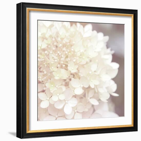 Hydrangea Dream I-Laura Marshall-Framed Art Print