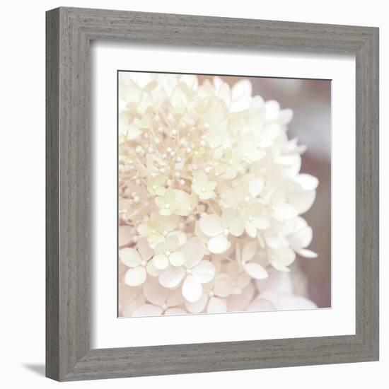 Hydrangea Dream I-Laura Marshall-Framed Art Print