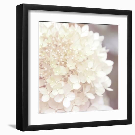 Hydrangea Dream I-Laura Marshall-Framed Art Print