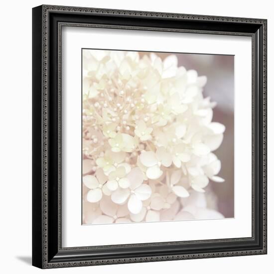 Hydrangea Dream I-Laura Marshall-Framed Art Print