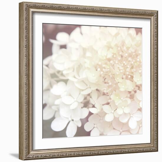 Hydrangea Dream II-Laura Marshall-Framed Art Print