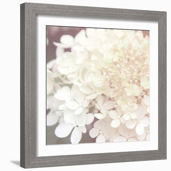 Hydrangea Dream II-Laura Marshall-Framed Art Print