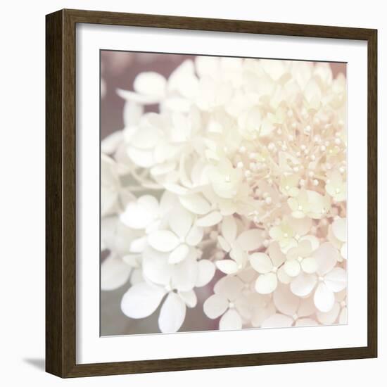 Hydrangea Dream II-Laura Marshall-Framed Art Print