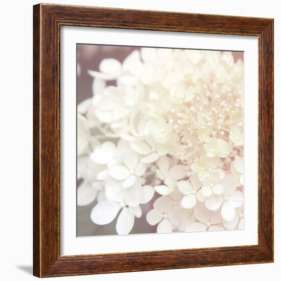 Hydrangea Dream II-Laura Marshall-Framed Art Print