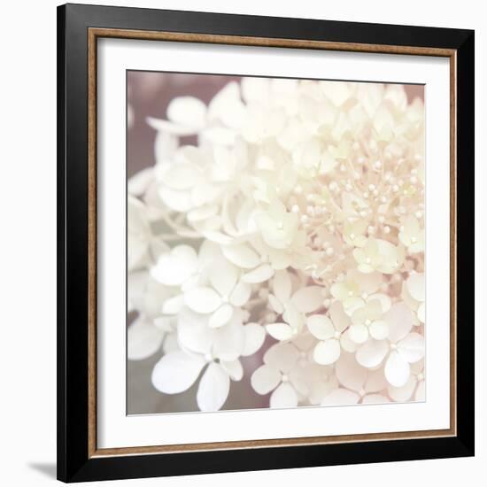 Hydrangea Dream II-Laura Marshall-Framed Art Print