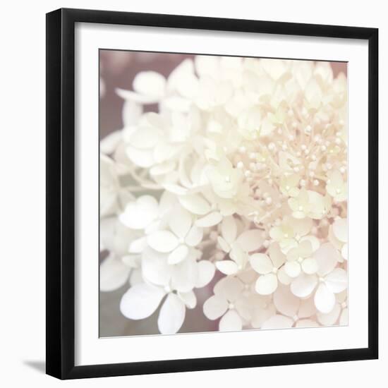 Hydrangea Dream II-Laura Marshall-Framed Art Print