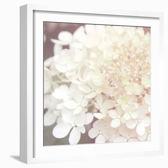 Hydrangea Dream II-Laura Marshall-Framed Art Print