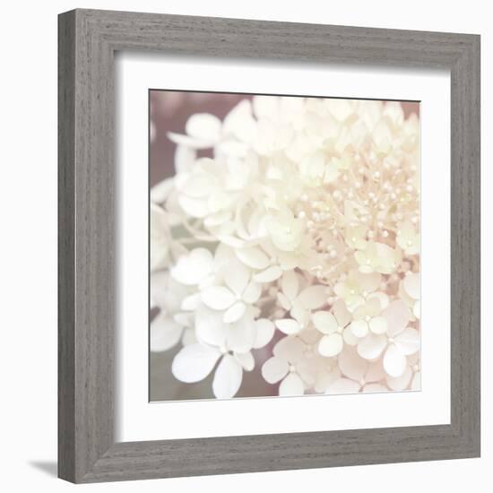 Hydrangea Dream II-Laura Marshall-Framed Art Print