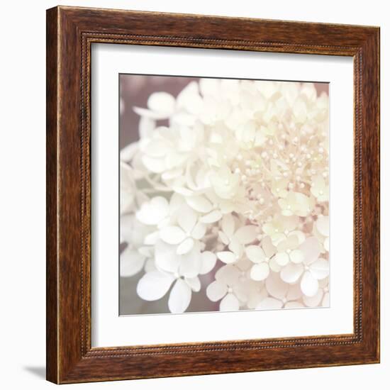 Hydrangea Dream II-Laura Marshall-Framed Art Print