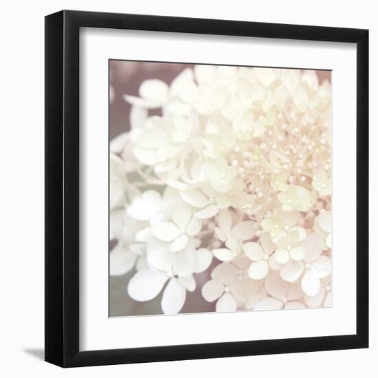 Hydrangea Dream II-Laura Marshall-Framed Art Print