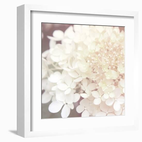 Hydrangea Dream II-Laura Marshall-Framed Art Print