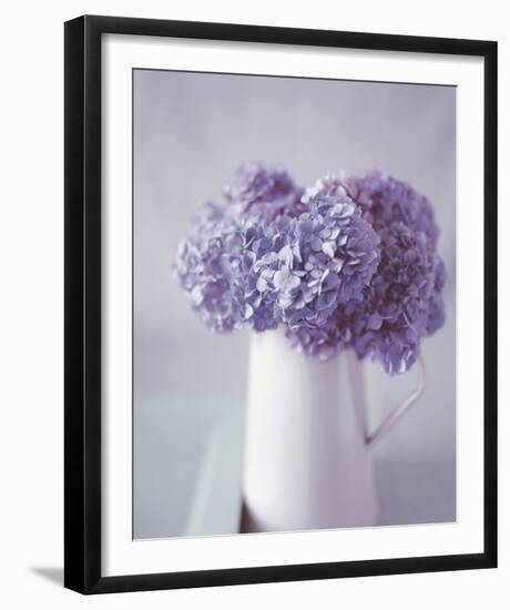 Hydrangea Dream-Bill Philip-Framed Giclee Print