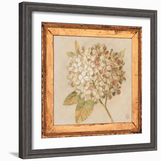 Hydrangea Floret Detail-Lauren Hamilton-Framed Art Print