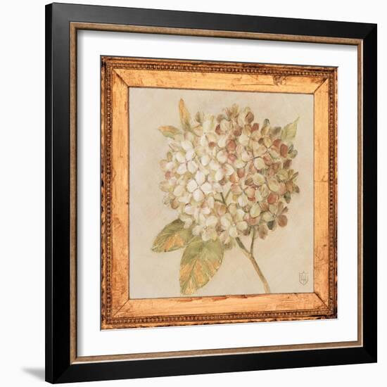 Hydrangea Floret Detail-Lauren Hamilton-Framed Art Print