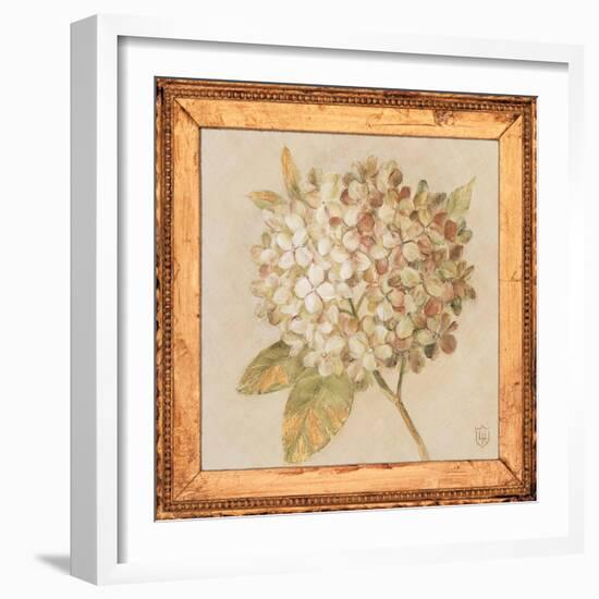 Hydrangea Floret Detail-Lauren Hamilton-Framed Art Print