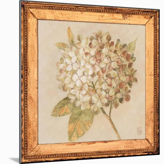 Hydrangea Floret Detail-Lauren Hamilton-Mounted Art Print