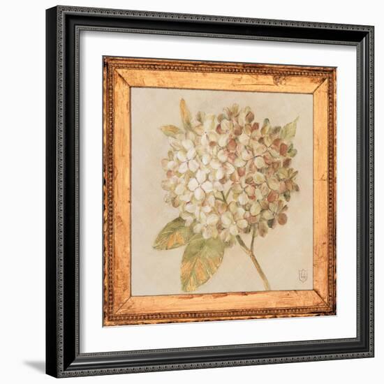 Hydrangea Floret Detail-Lauren Hamilton-Framed Art Print