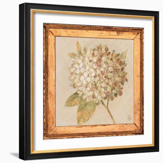 Hydrangea Floret Detail-Lauren Hamilton-Framed Art Print