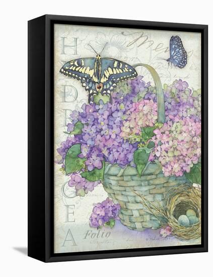 Hydrangea Folio-Julie Paton-Framed Stretched Canvas