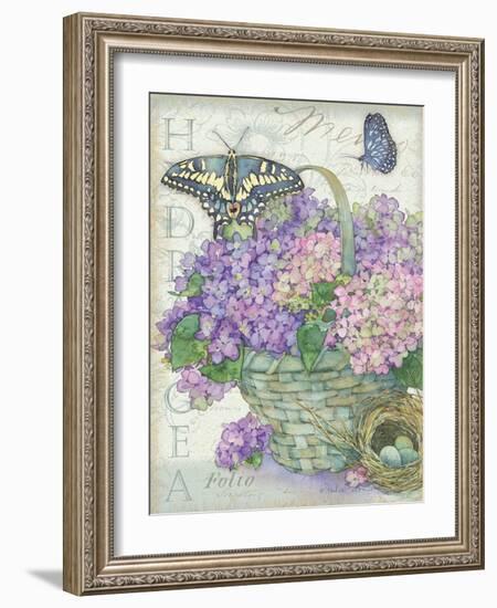 Hydrangea Folio-Julie Paton-Framed Art Print