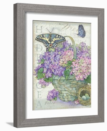 Hydrangea Folio-Julie Paton-Framed Art Print